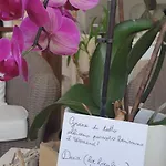 Lisà Hotel 2*