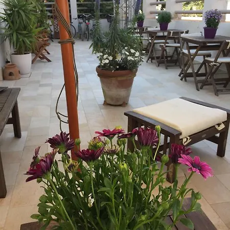Hotel Lisà 2*