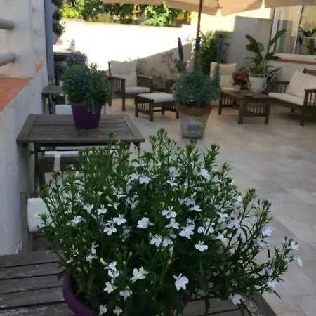 Lisà 2* Viareggio