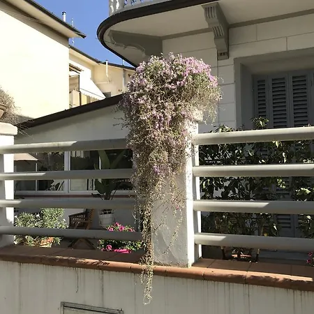 Hotel Lisà 2*