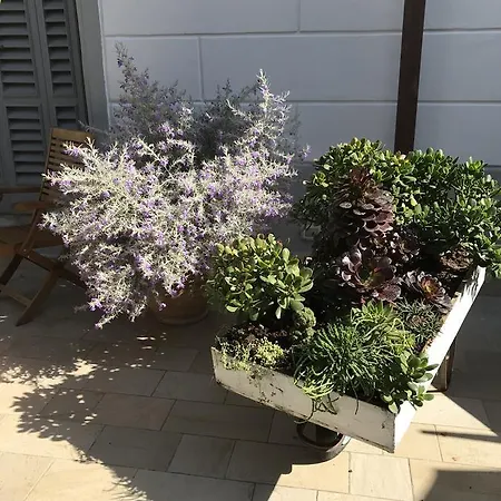 Hotel Lisà Viareggio