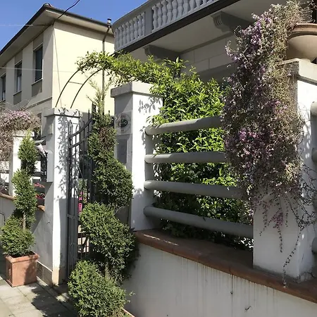 Lisà Viareggio
